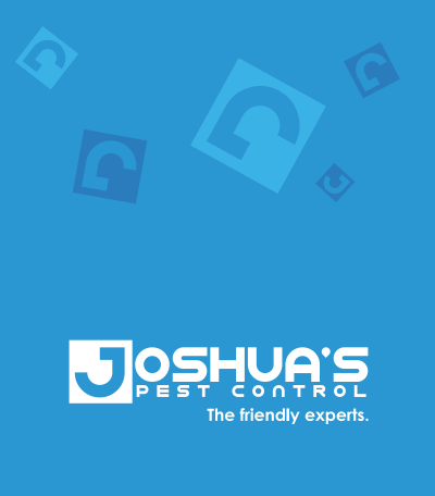 Joshua's Box Sleeve.